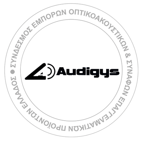 THE AUDIO COMPANY